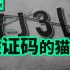 【差评君】验证码不光可以白嫖人们的智力，没准还侵犯你的隐私