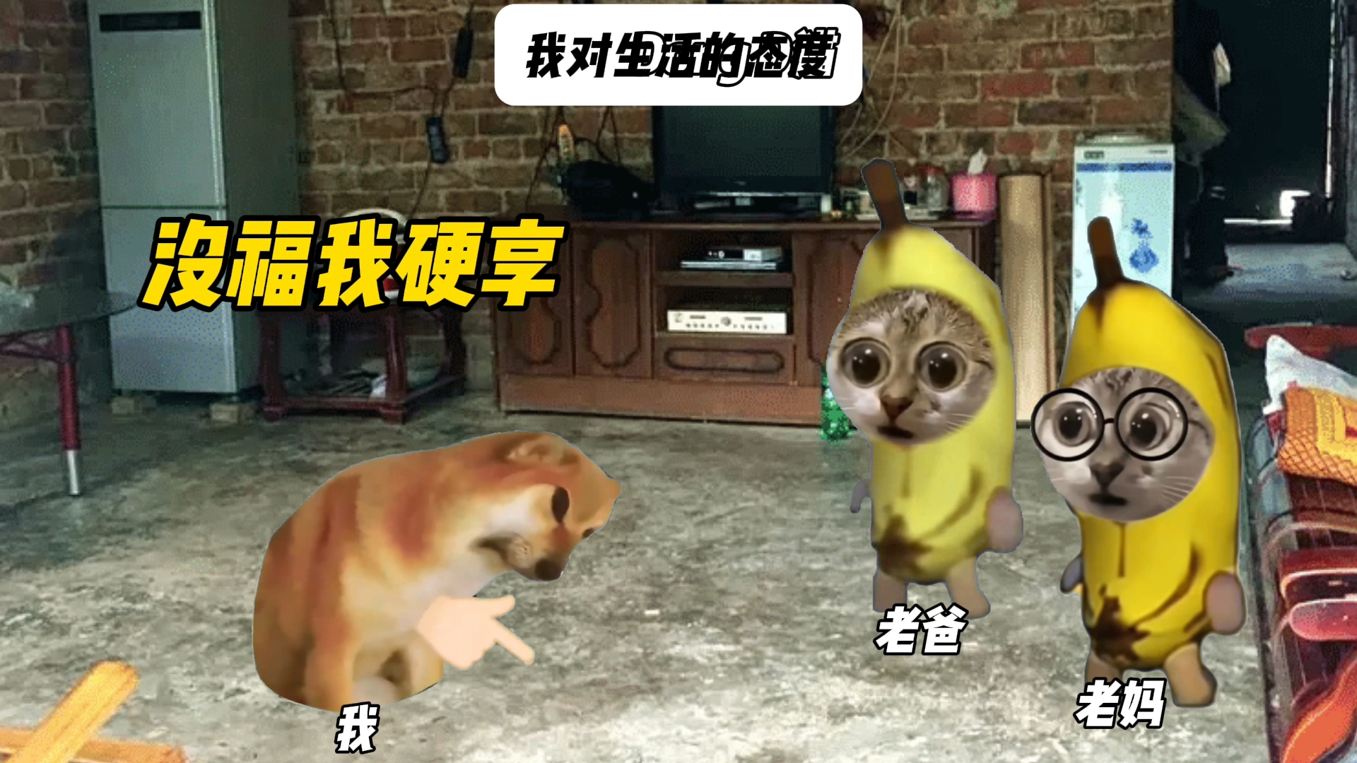 我对生活的态度！