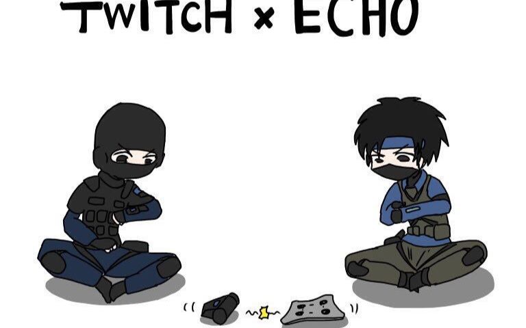 【彩虹6号:围攻】记一次echo反抓野