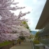 神户大学空拍照