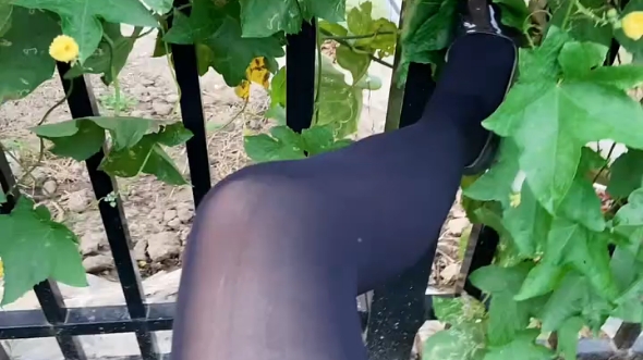 High Heels Everyday 2