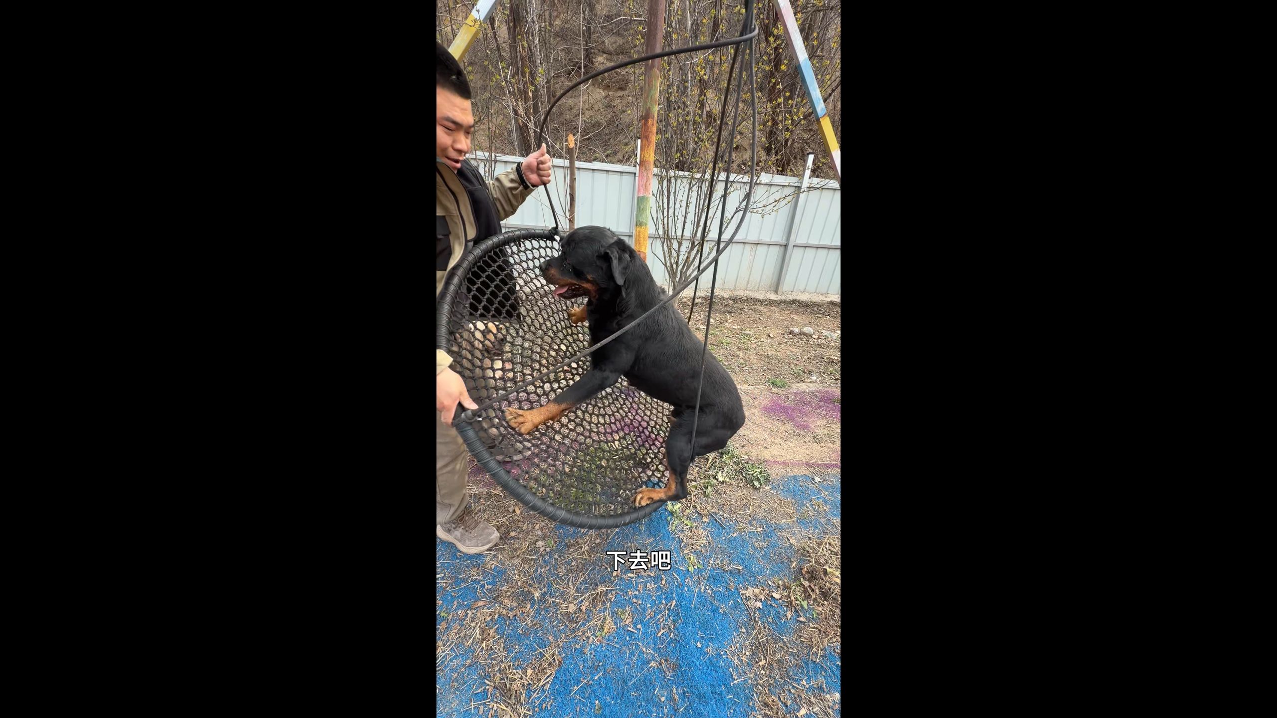 狗狗的平衡太好了，原地猛转几十圈，竟然屁事没有