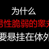 为什么男性脆弱的睾丸要悬挂在体外