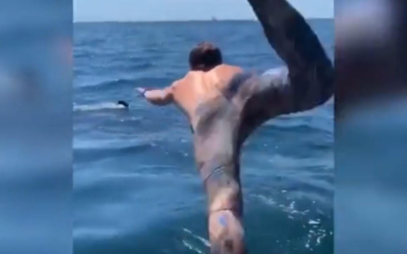 美国一男子跳进海里想跟姥鲨同游 游近一看居然是头大白鲨！