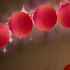 水果忍者惊现四个石榴的高能视频！你们见过吗？