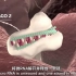 3D动画小课程：什么是 miRNA/microRNA ?｜医学/生信热点知识