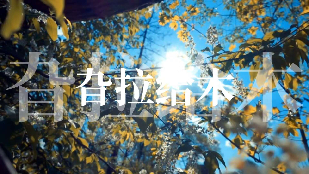 【初投稿/暂别作/诗岸】相比拉拉给给，我更喜欢旮拉给木