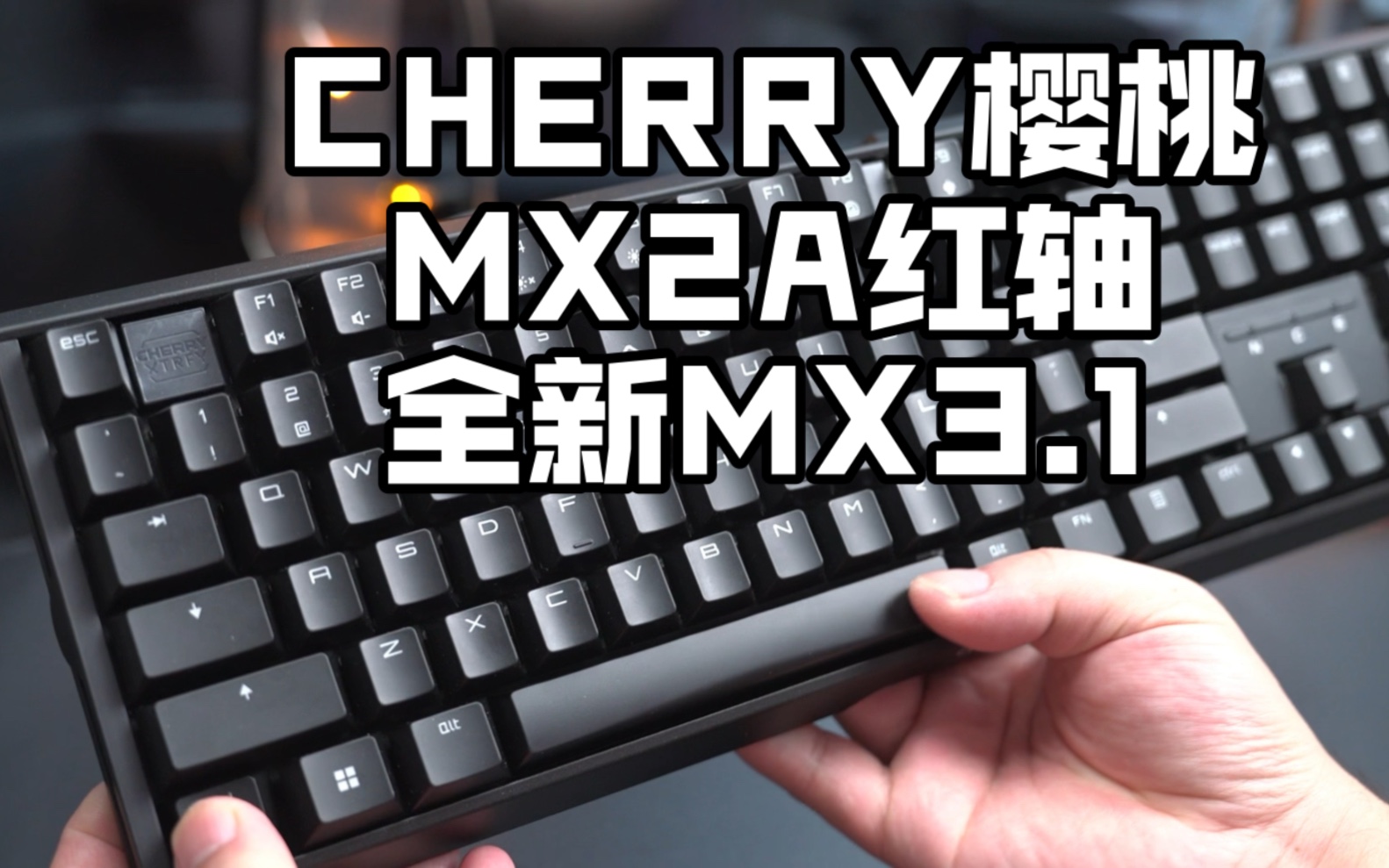 新品首发！CHERRY樱桃MX3.1搭载MX2A轴怎么样