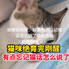 猫咪绝育完刚醒，好像有点忘记猫话怎么说了，网友：原来全麻之后乱说话不分物种啊