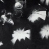 【纪录片】雨（1929）【尤里斯·伊文思】