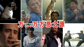 万恶之源豪华合集,多年前的表情包终于找到出处了