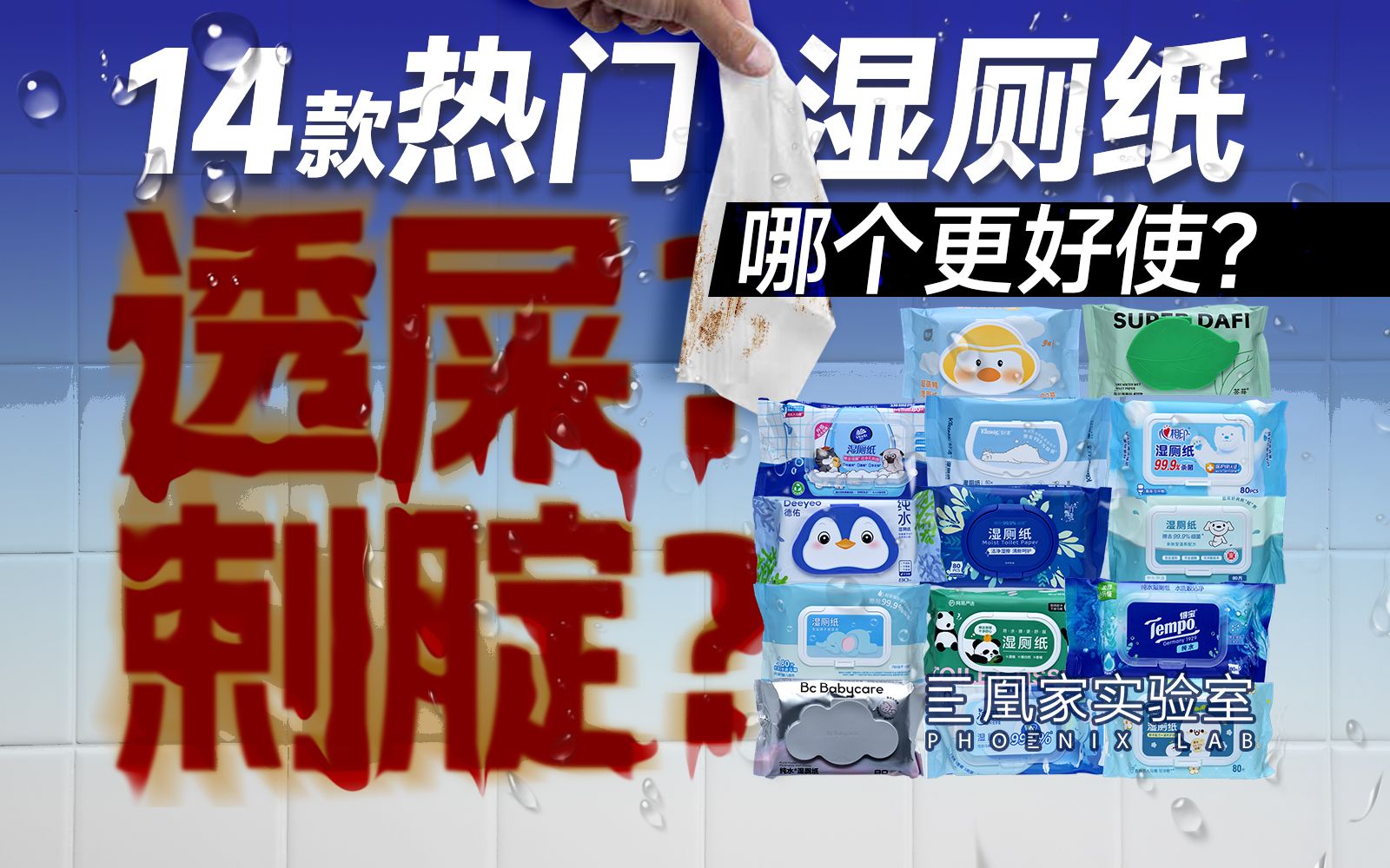 主流湿厕纸哪款最好用？连拉10天+科学检测给你答案！｜凰家实验室