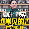 春花 夏叶 秋实 冬根，身边的香材你都注意到了吗