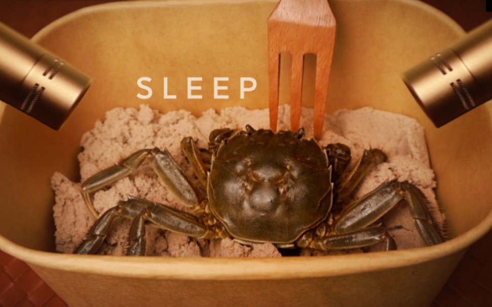 【日垂】生活枯燥乏味，螃蟹助眠人类