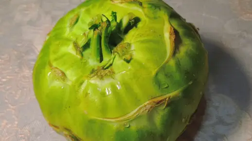 70后手把手教你腌“茄莲”，又爽又脆特下饭，腌一晚就能吃