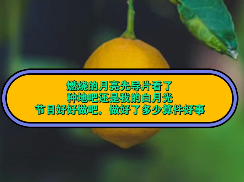 燃烧的月亮先导片看完了,种地吧白月光地位不可动摇哔哩哔哩bilibili