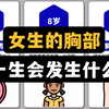 女生的胸部，一生会发生什么