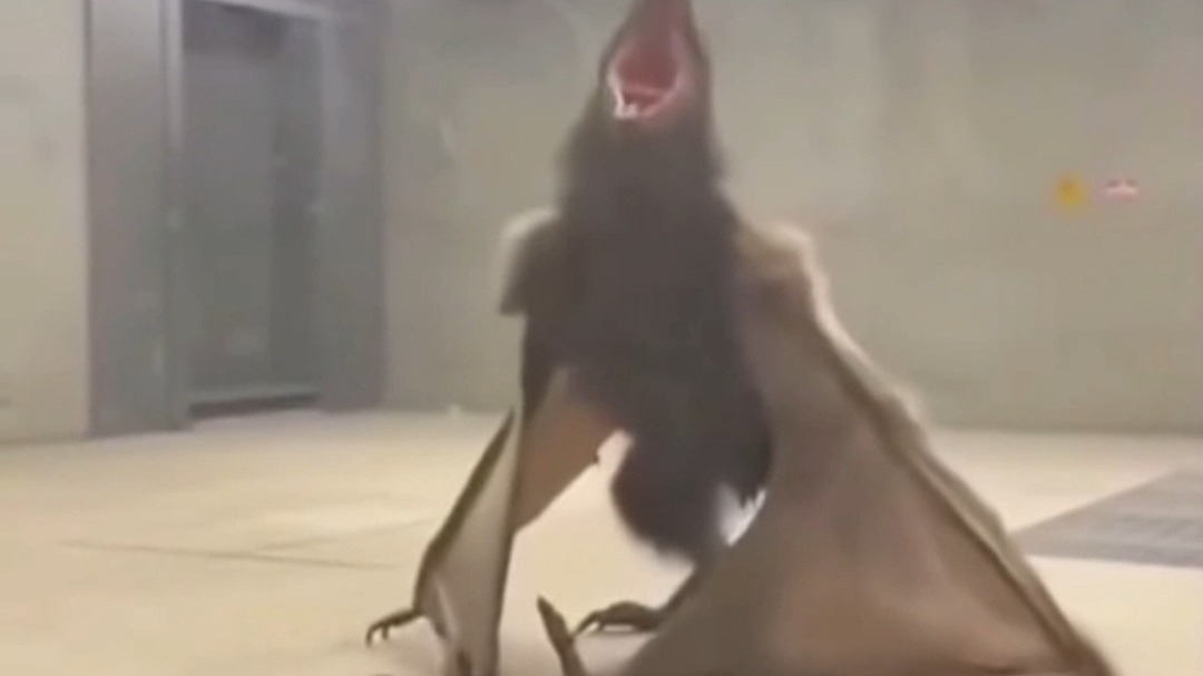 遇到这个要跑吗