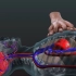 心肺复苏术（CPR）时体内的改变（3D）