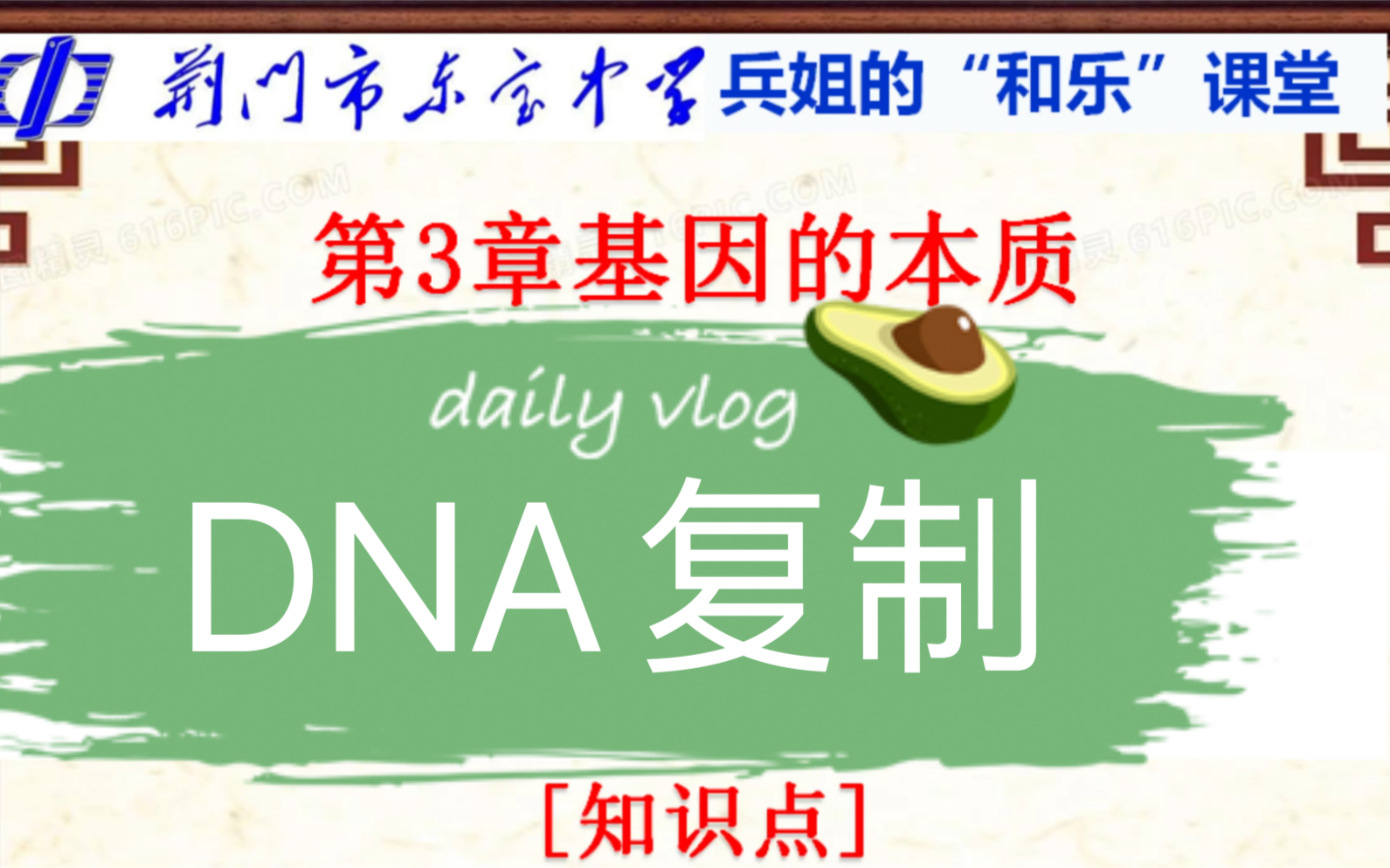dna的复制知识点 哔哩哔哩 つロ干杯 bilibili