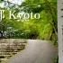 京都红叶绝景「大原三千院」