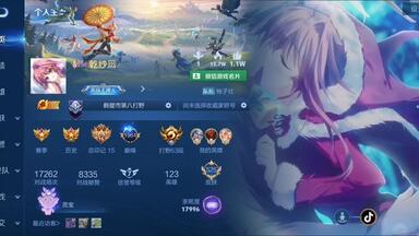 也是把<em class="keyword">sana</em>放上王者主页了