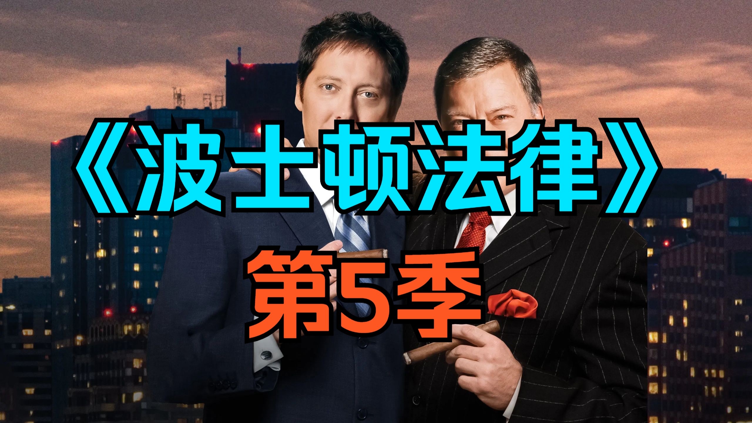 [电视剧] 美剧《波士顿法律》第5季「共13集」[完结撒花]
