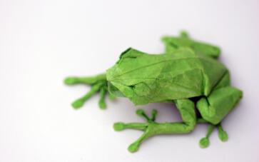 【折纸搬运】神谷哲史-树蛙_手工_生活_哔哩哔