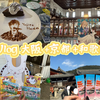 Vlog｜首次的关西之旅！果然有朋友在可以肆无忌惮地发疯