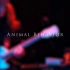 BUCKETHEAD - Animal Behavior - Guitar solo cover