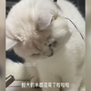 “嘴巴和胃对了一晚上的账