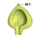 被子植物的受精过程与果实发育-林亚