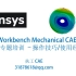 Ansys Workbench mechanical 界面基础操作技巧-2