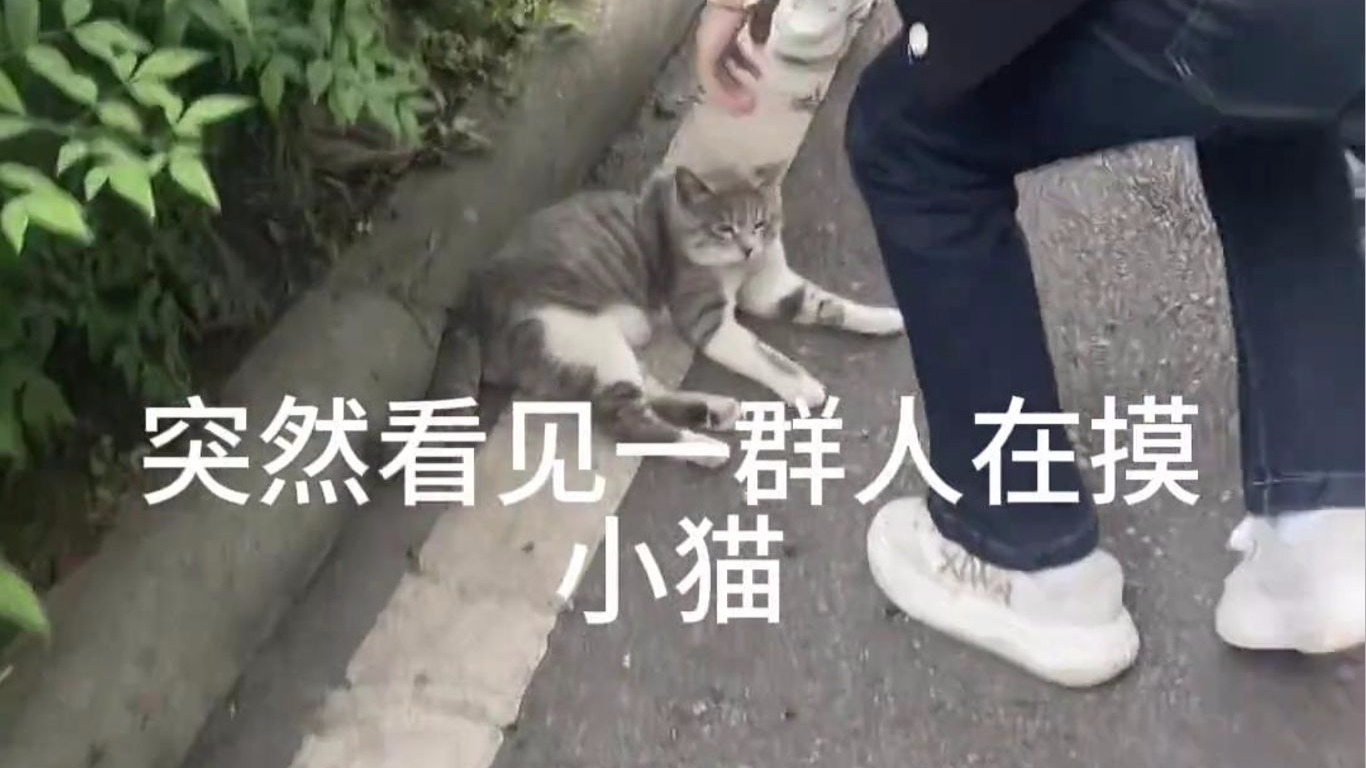 小咕噜棉花糖