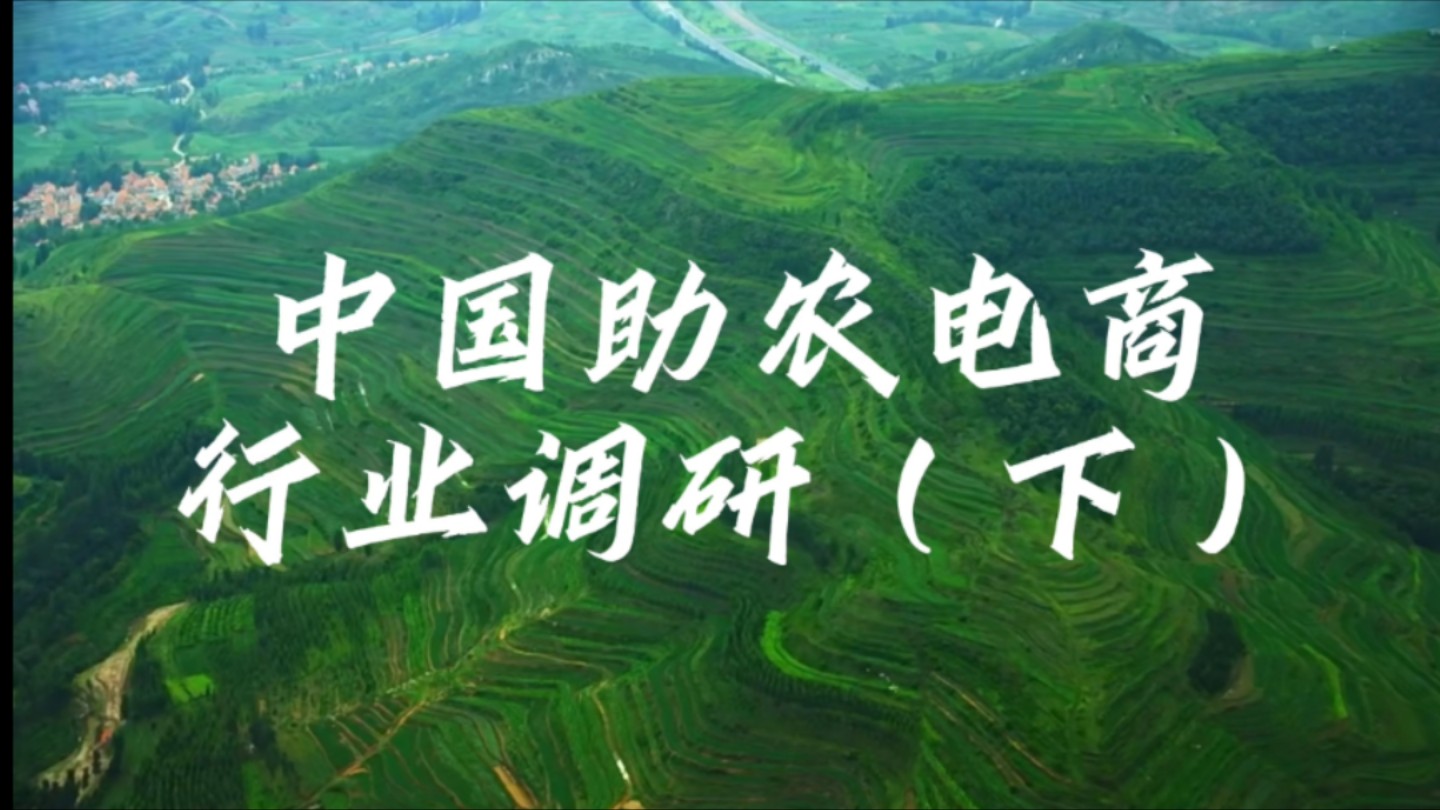 （大学生作业）中助农电商行业调研 下