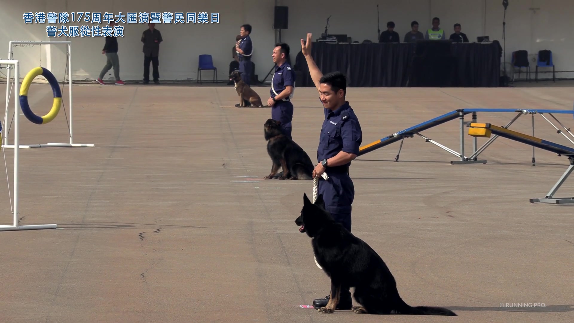 【香港警隊175周年大匯演】警犬服從性表演