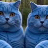 胖猫把鹿毙了