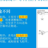 关于飞行的直角航线和等待程序