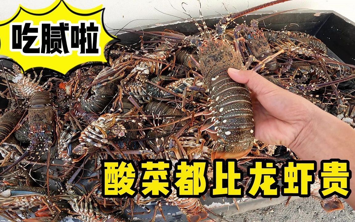 《环球探海记》阿曼 第42天 （下集）：大龙虾的100种做法之（酸菜大龙虾）