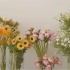 【花艺｜VLOG】治愈向韩国花艺师日常 夏日花店常用花材科普，看完记住了几种花材？