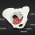 【3D解剖动画】了解盆底肌