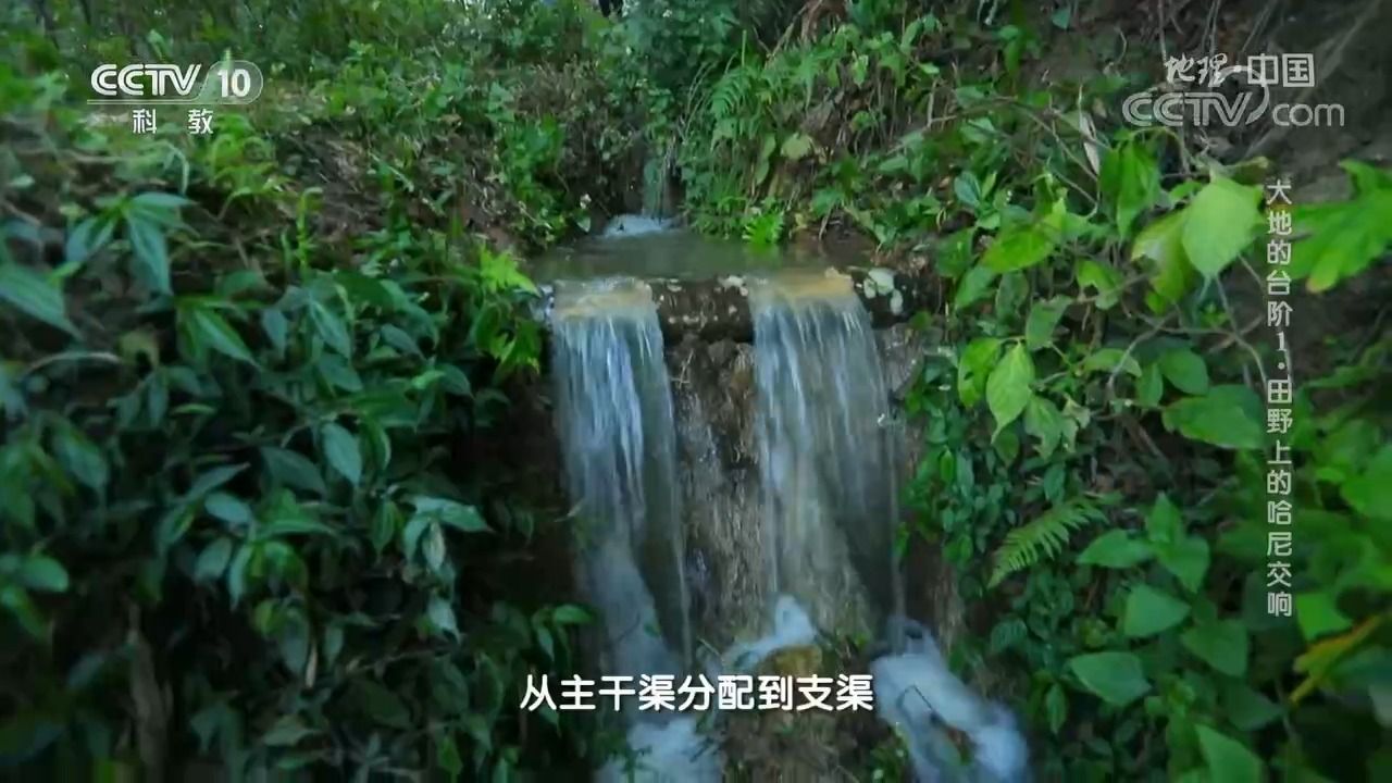 【地域文化】哈尼梯田分水方法-木刻分水法