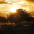 令人惊叹的非洲景象（纳米比亚）