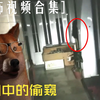 【恐怖视频合集】40 房间中似乎有什么东西在偷窥