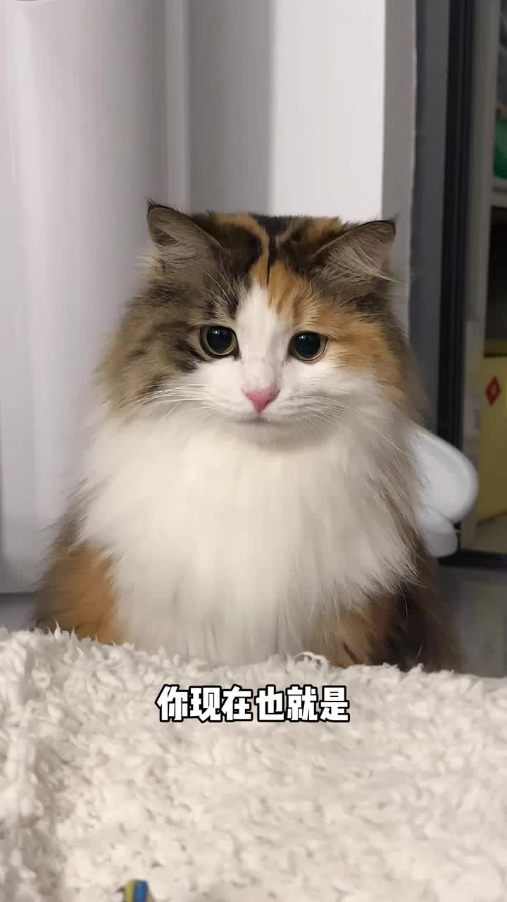 投胎到好年代了