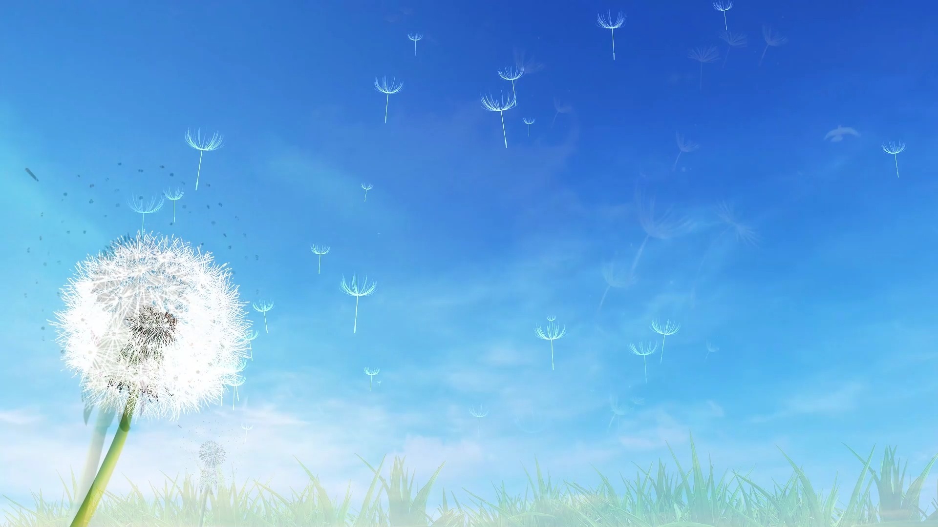 青春梦想 放飞毕业季诗歌表演讲朗诵舞台LED大屏幕背景视频素材纯音乐