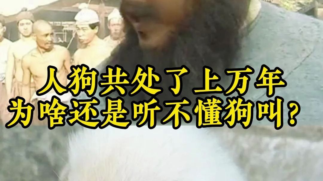 人类和狗共处了上万年，为啥还是听不懂狗叫？