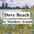 多佛海滩|抖森慢速英音读诗|睡前英语听力|适合跟读|马修·阿诺德