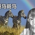 【杨宝】《斑马斑马》 2021.03.22直播切片