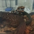 紫沙蛇吃虎斑颈槽蛇